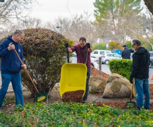 Antioch-MLK-Day-of-Service-2020-32