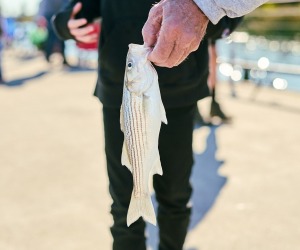 The-36th-Annual-Kids-Fishing-Derby-10