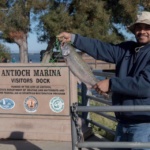 Salmon Fishing at the Antioch Marina