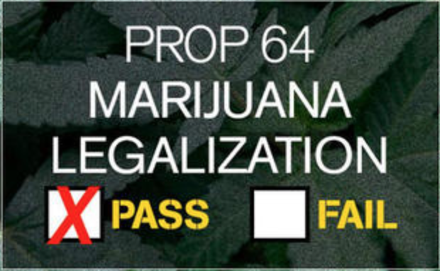 2nd-cannabis-community-workshop-prop-64