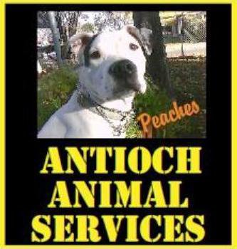 Antioch Animal Shelter