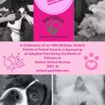 Antioch Animal Services - Antioch on the move