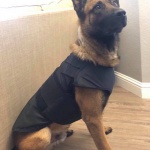 Antioch Police Department K9