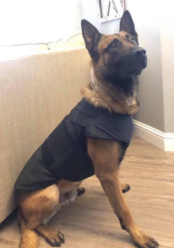 Antioch Police Department K9