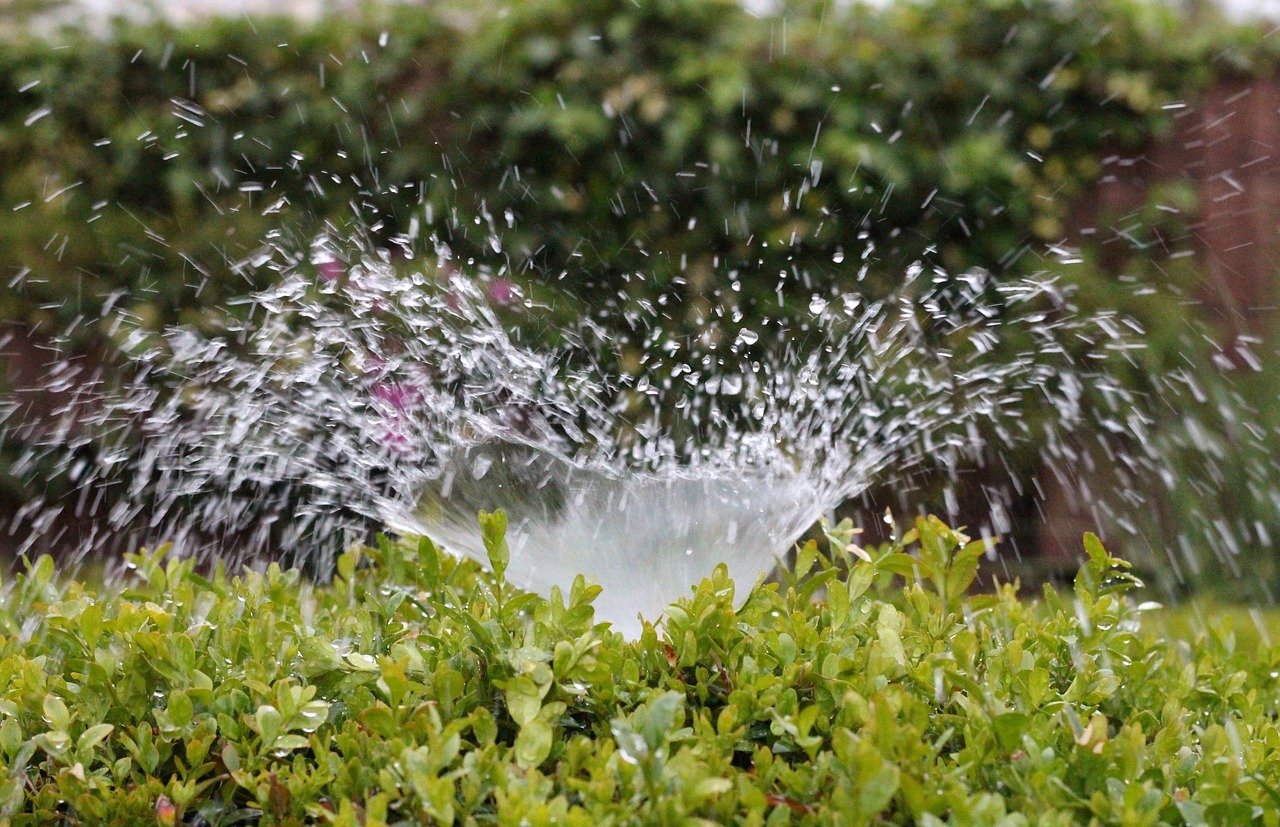 irrigation leak