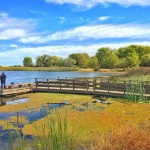 Contra Loma Regional Park