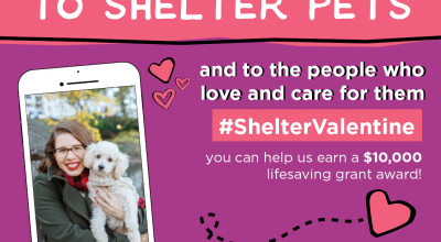 Shelter Valentine - Antioch Animal Service