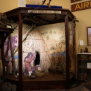 Miwok and Native American Display at the Antioch Historical Museum