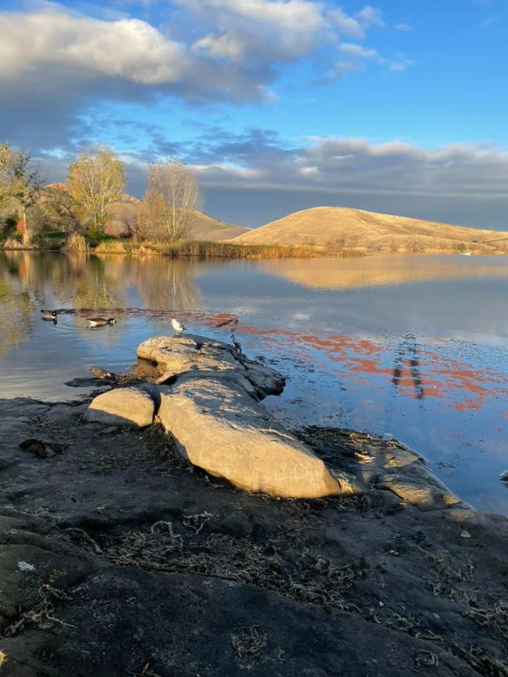 lake-loop-contra-loma